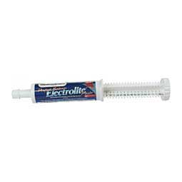 Perfect Balance Electrolite Paste for Horses  Peak Performance Nutrients